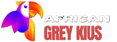African Grey Kius
